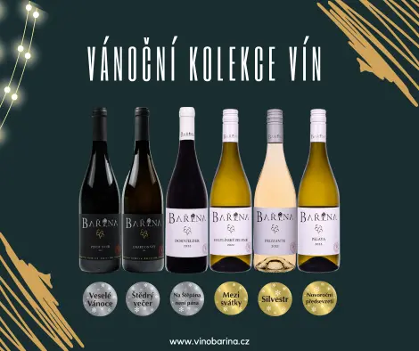 Vánoční kolekce 6 vín