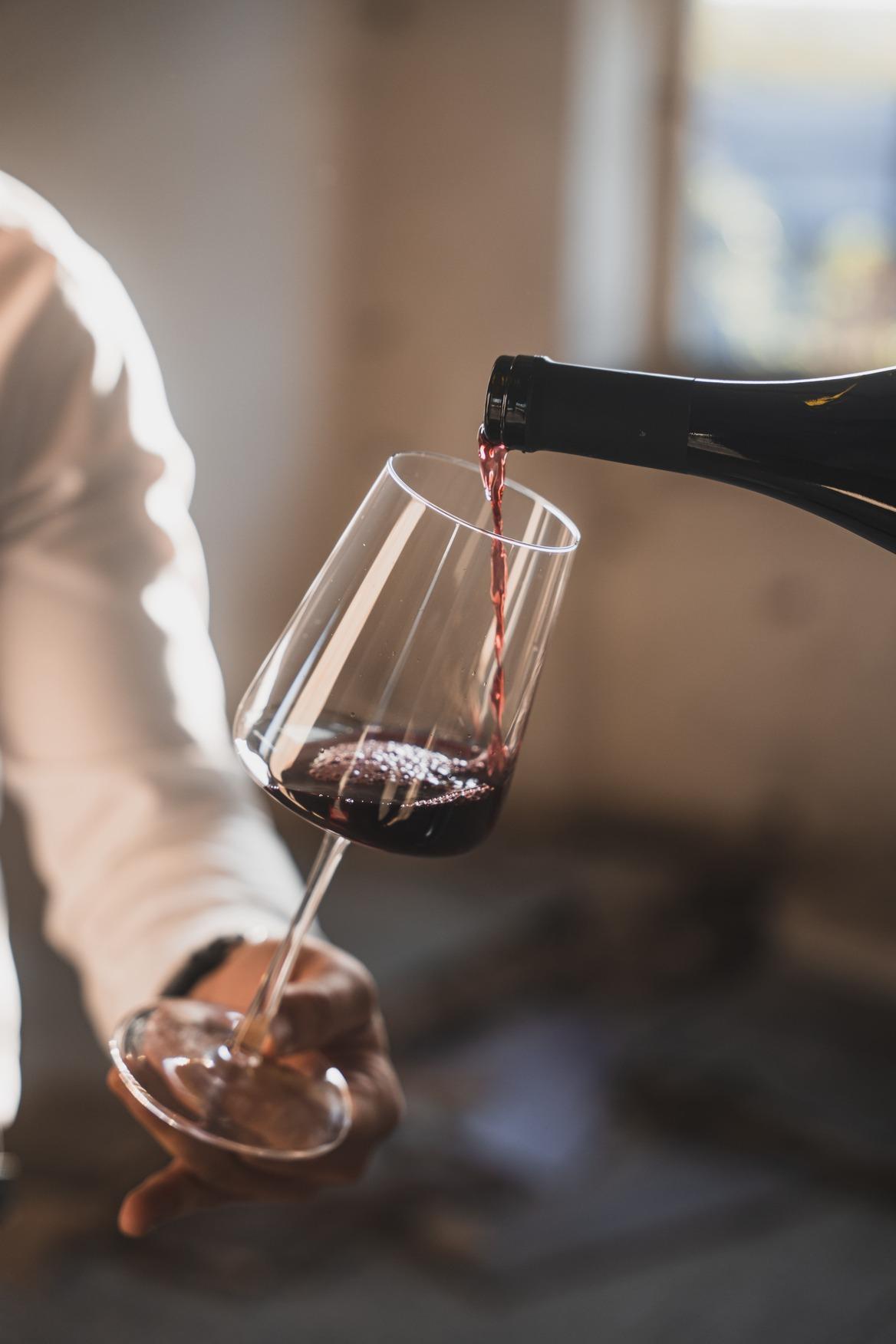 Vinice Modrých Hor – Vinařství Bařina